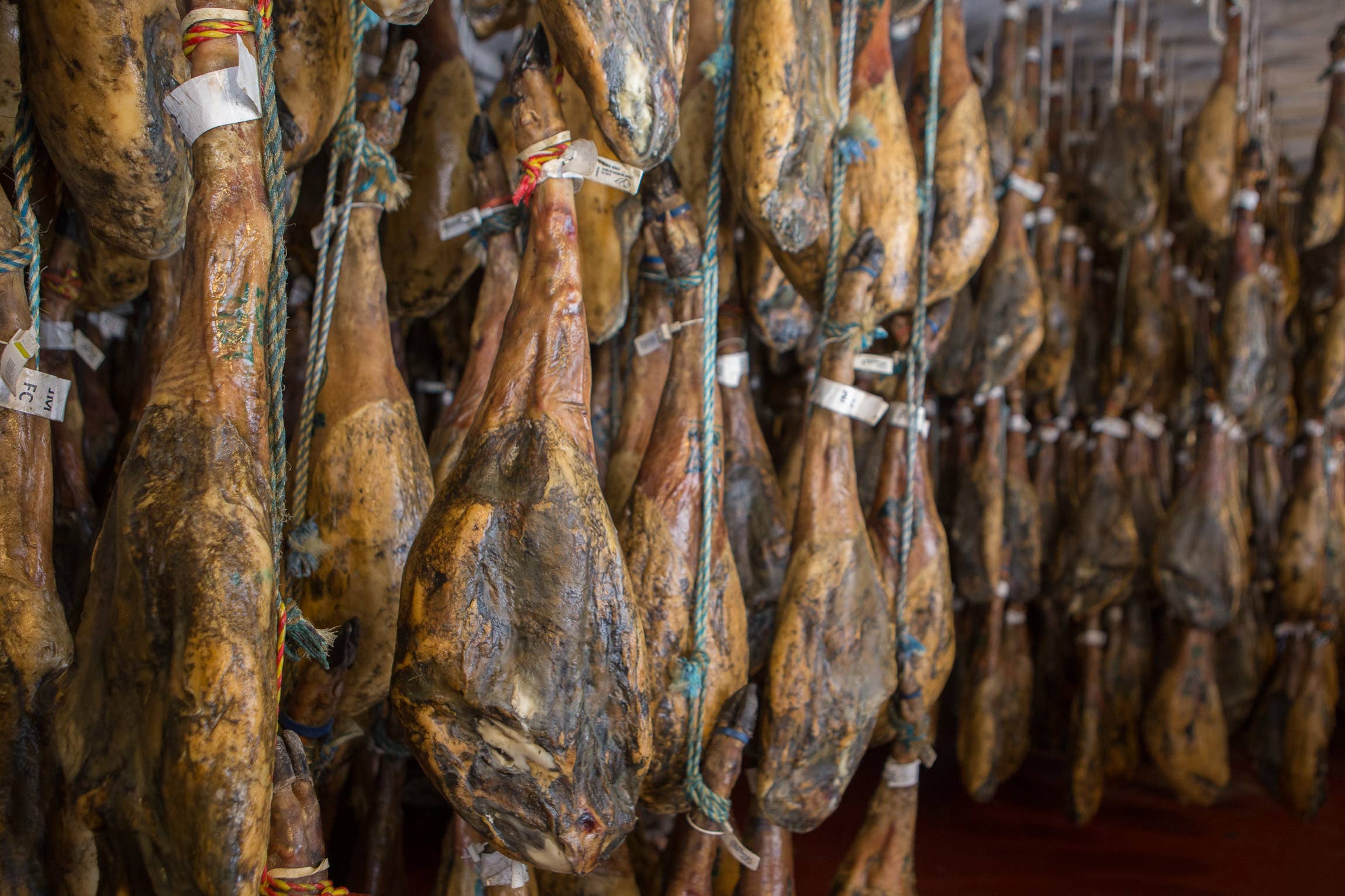 TORRENCINAS - Wholesale Ham - Ham Cebo 75% Iberian Raza1