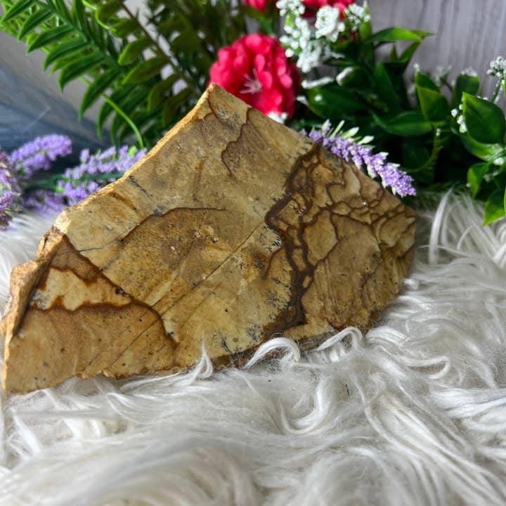 Spécimen poli en grès pour la vente par Raven + Sage