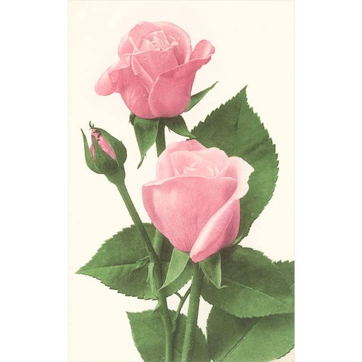 Found Image Press - Wholesale Sticker - Sticker FC-161 Pink Roses