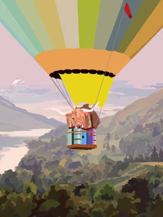 127C Landscape & Balloon / highland cow in a basket / funny for wholesale by Periodic Society