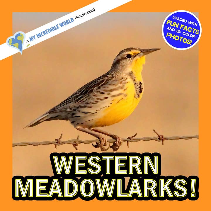 Westelijke Weideleeuweriken! Een Mijn Ongelooflijke Wereld Prentenboek voor Kinderen voor wholesale door My Incredible World