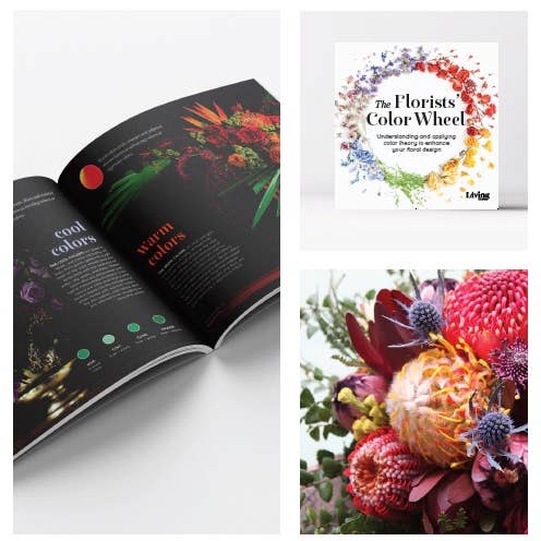 FlowerBox.com - Wholesale Book - Adult - Florists' Color Wheel: A Guide to Floral Design Color Theory