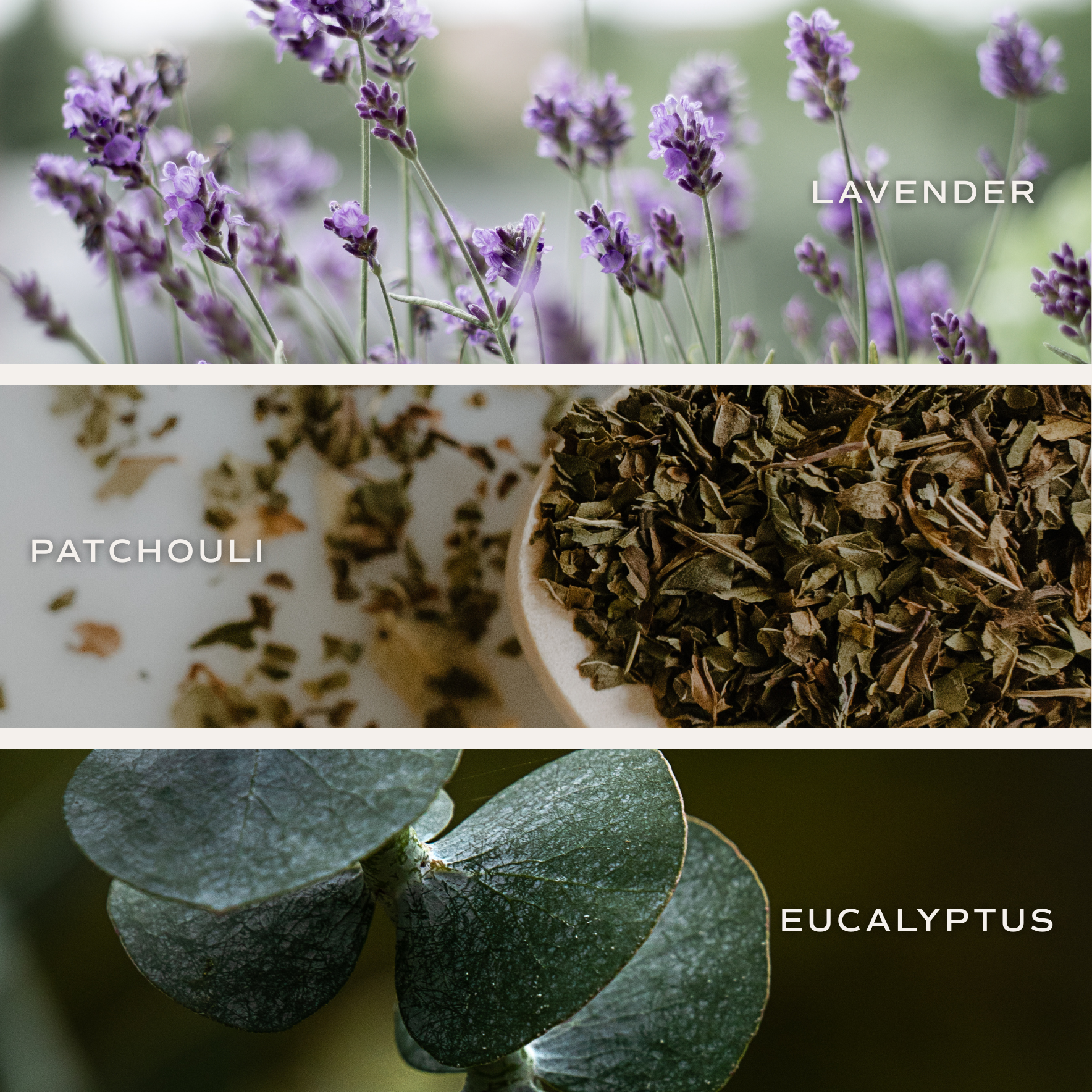 Sweet Water Decor – Engroshandel Duftolie med pinde – Calm and Comfort Reed Diffuser - Boligindretning og gaver3