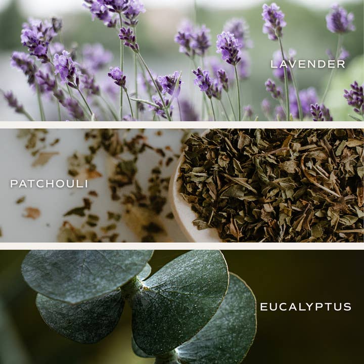 Sweet Water Decor - Wholesale Geurstokjes - Rustige en comfortabele Reed Diffuser - Woondecoratie en geschenken3