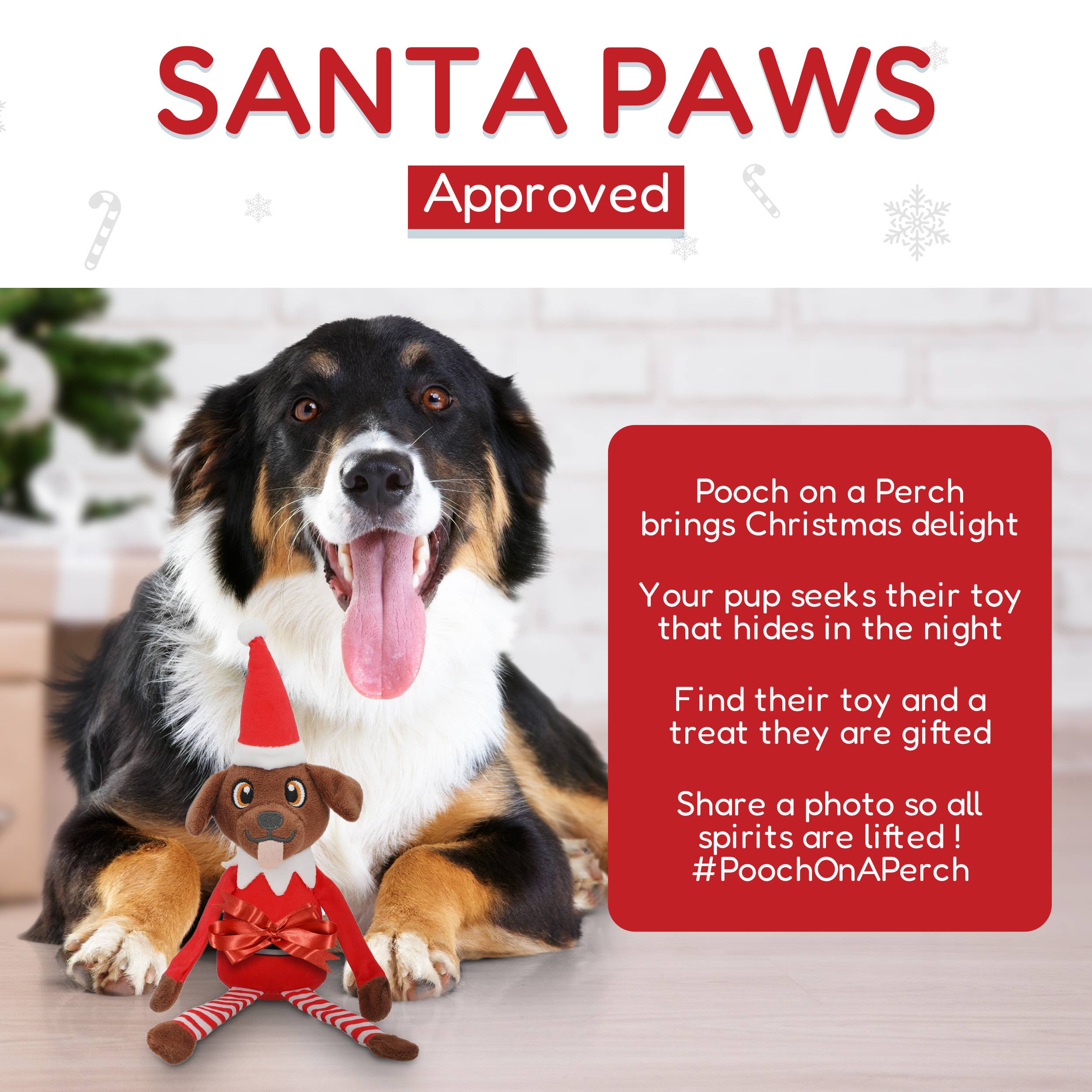 PUPROAR - Wholesale Pet Squeaky Toy - Dog - Pooch On A Perch- Christmas Dog Toys, Squeaky and Crinkly 6