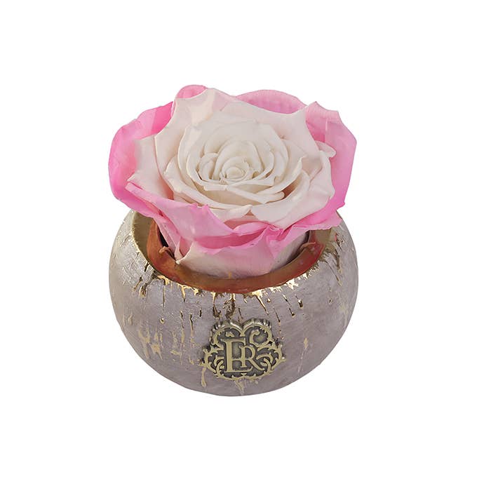 Eternal Roses® - Wholesale Artificial Flowers - Mini Tiffany Eternal Luxury Rose26
