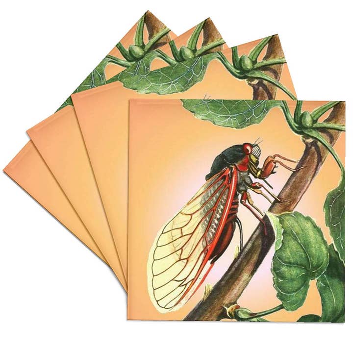 3dRose - Wholesale Coasters - 3dRose, Cicada - cicada, cicadas, magicicada septendecim, insect, insects, bugs, winged insects, Coaster
