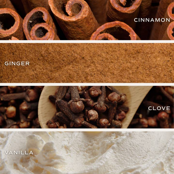 Sweet Water Decor – wholesale Burkljus – Pepparkakor och krydda 9 oz sojaljus - juldekor3