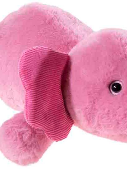 Concis Axolotl Couché pour la vente par Heunec