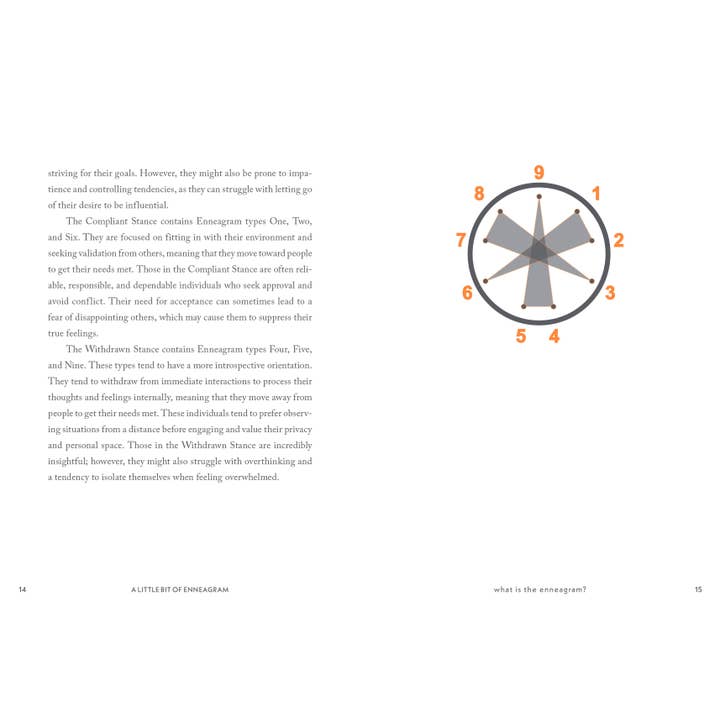 Hachette Book Group - Wholesale Self-Help & Personal Development - A Little Bit of Enneagram: An Introduction7