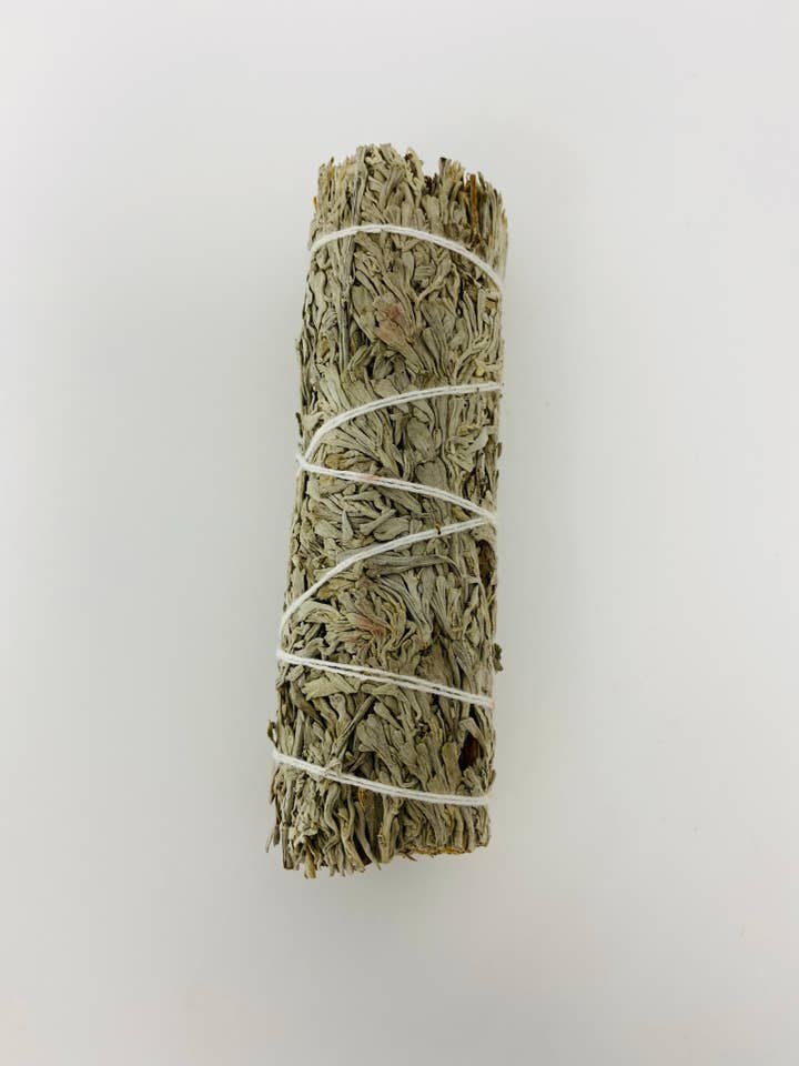 Blue Sage (100+) for wholesale by Bholi Sage Plus