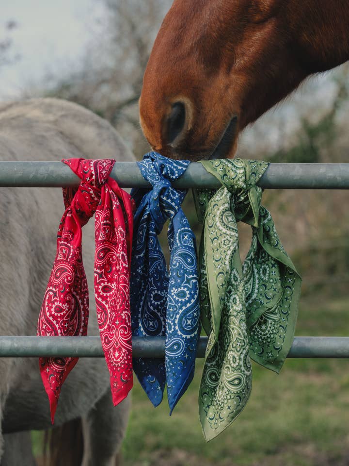 Bandana en Pure Soie pour la vente par Emily's Pillow