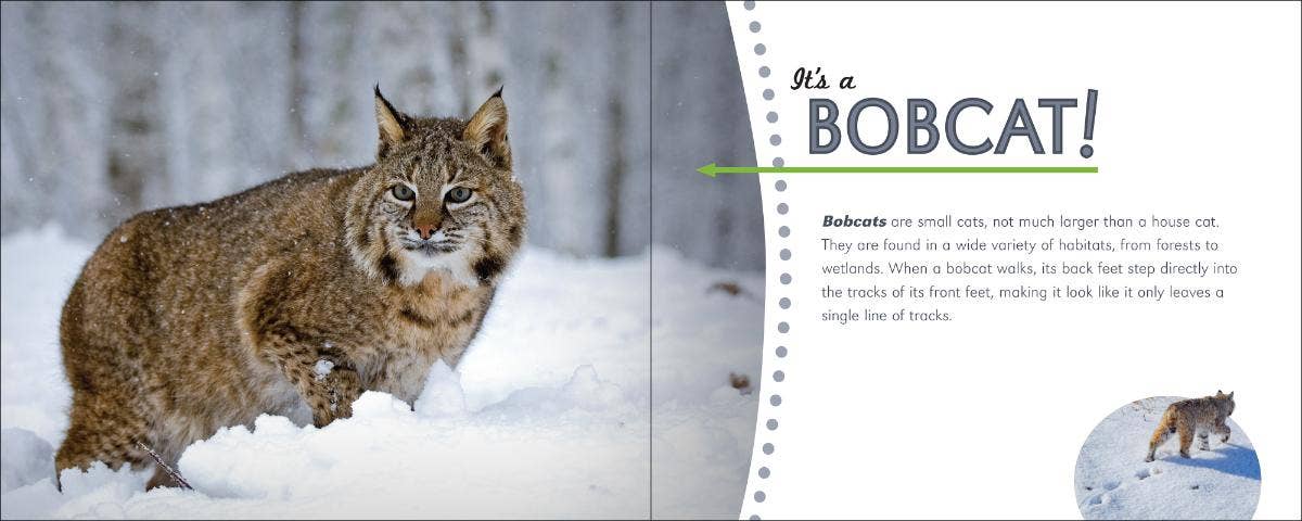 AdventureKEEN - Wholesale Nature & Outdoors - Whose Track Is That?5