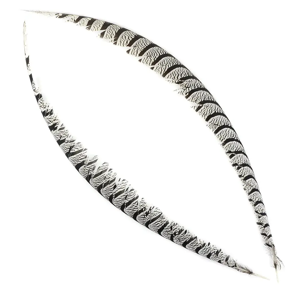 Zucker Feather Products – wholesale Feathers – Lady Amherst Pheasant Tail Natural1