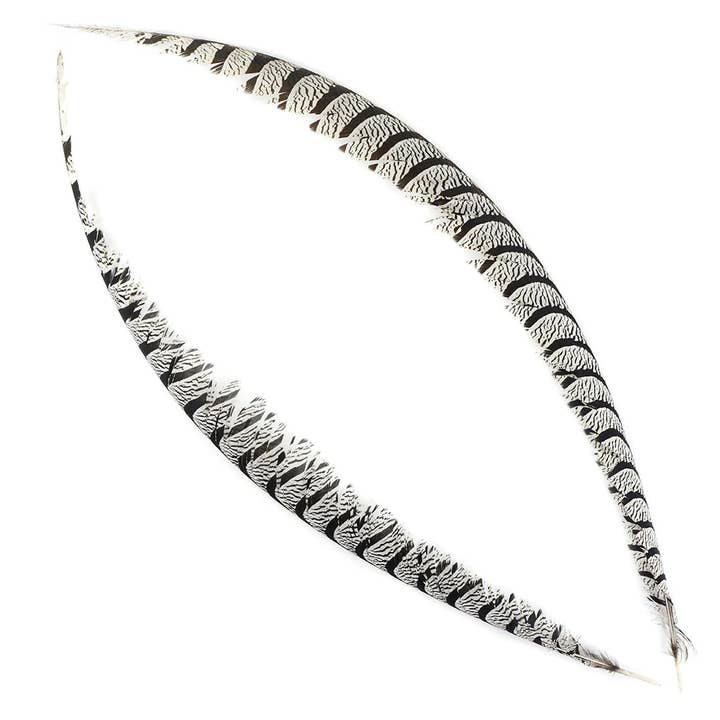 Zucker Feather Products – wholesale Feathers – Lady Amherst Pheasant Tail Natural1