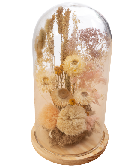 Concari.flores Preservadas - Vendita all'ingrosso Fiori secchi/pressati - CUPOLA SILVESTRE CON FIORI E VERDURE SECCHI E CONSERVATI1