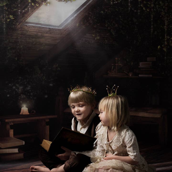 COMBO Dois cenários de fotografia de vinil de 5 pés x 5 pés/fada por atacado de Swanky Prints