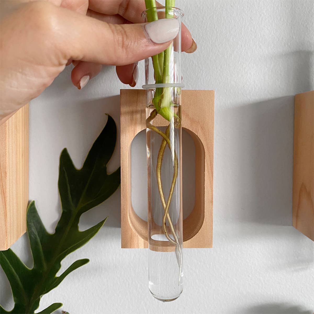 PRINT AND PROPER - Wholesale Hanging Planter - Plant Propagation Station. Wall Mount Test Tube Plant Holder4