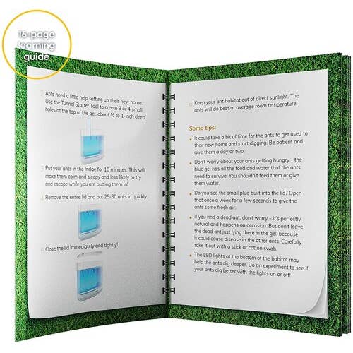 Dan&Darci - Wholesale Light-Up Toy - Kids & Baby - Light-Up Ant Habitat5