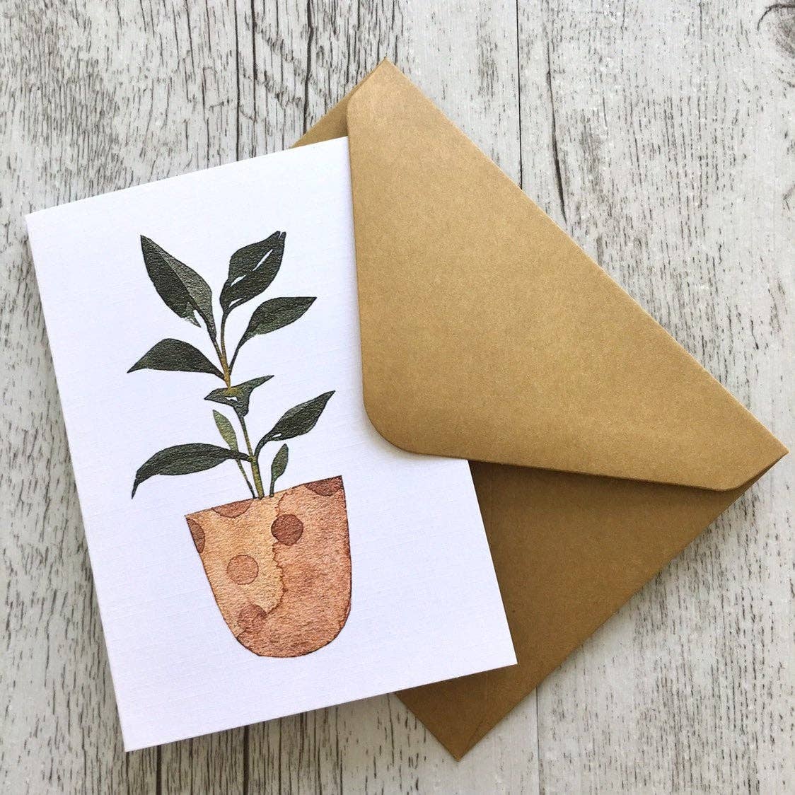 Scattered Seed Co - Wholesale Stationery/Notecard Set - POTTED PLANTS Collection 1 greeting cards set of 41