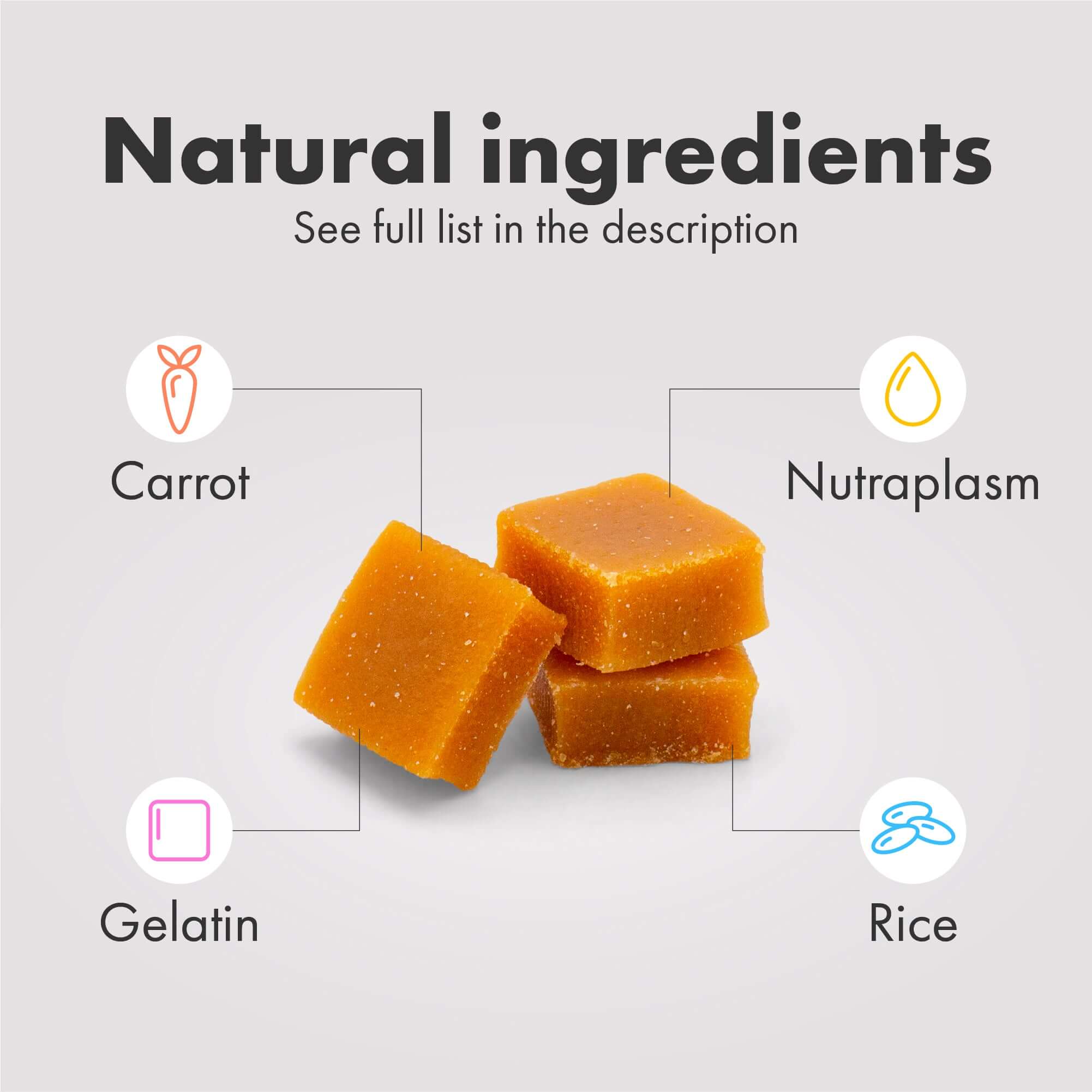 DotDotPet – wholesale Pet supplement – Dog – Plasma Dog Wellness Gummies – Daily Supplement 30 Pack2