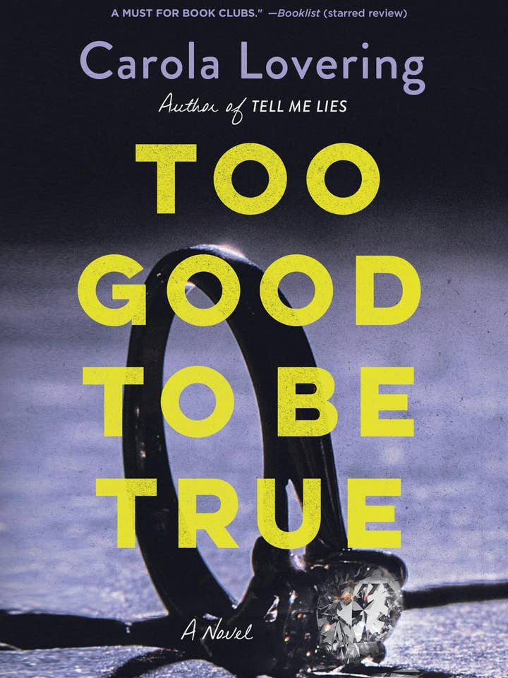 Too Good To Be True: A Novel for wholesale by Macmillan Publishers