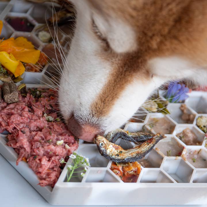 LIEVICK - Wholesale Pet Food Mat - Dog - LIEVICK Lick mat | Gray & White 1