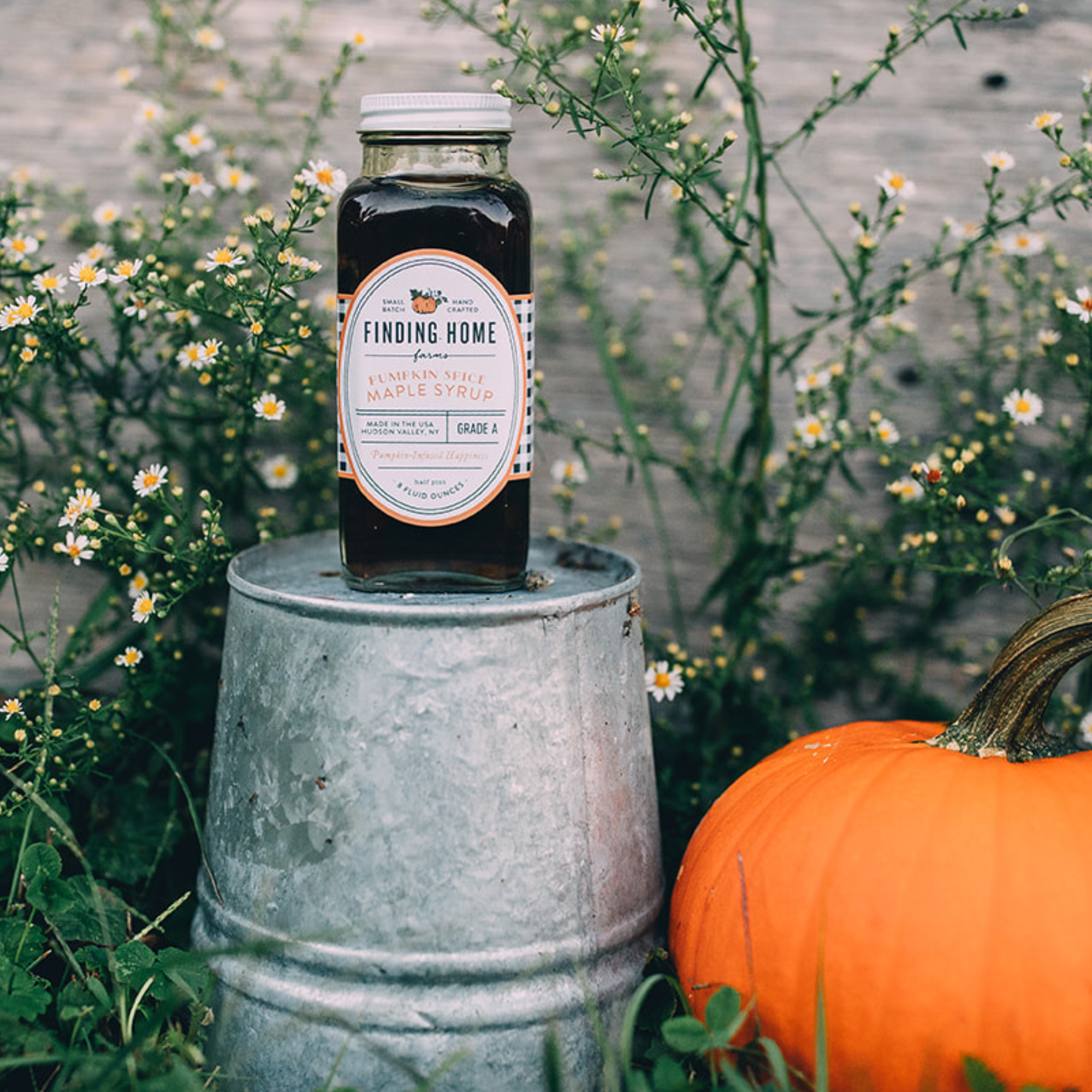Finding Home Farms - Wholesale Maple Syrup - Pumpkin Spice Infused Maple Syrup4