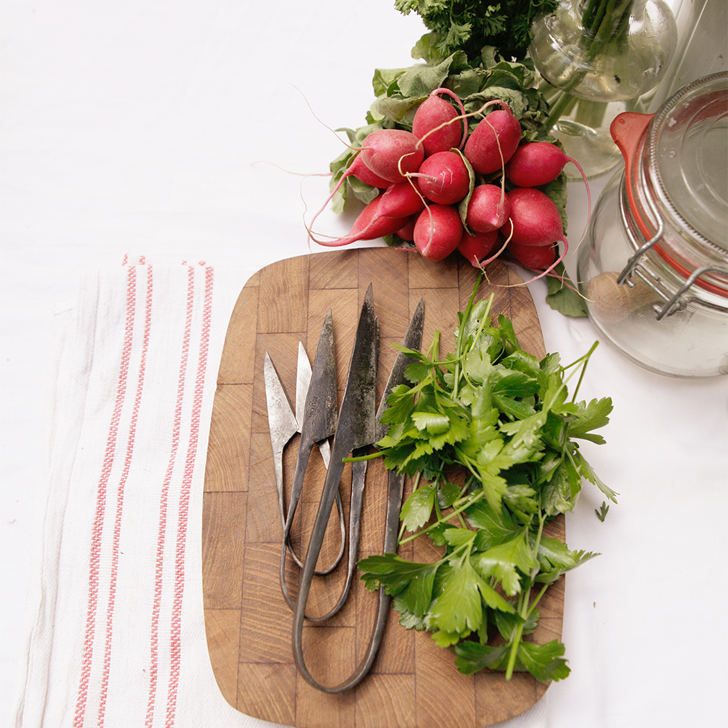 AUTHENTIC BLADES - Wholesale Scissors and Shears - AUTHENTIC BLADES MO, herb scissors, cutting length 4-8cm made of carbon steel3