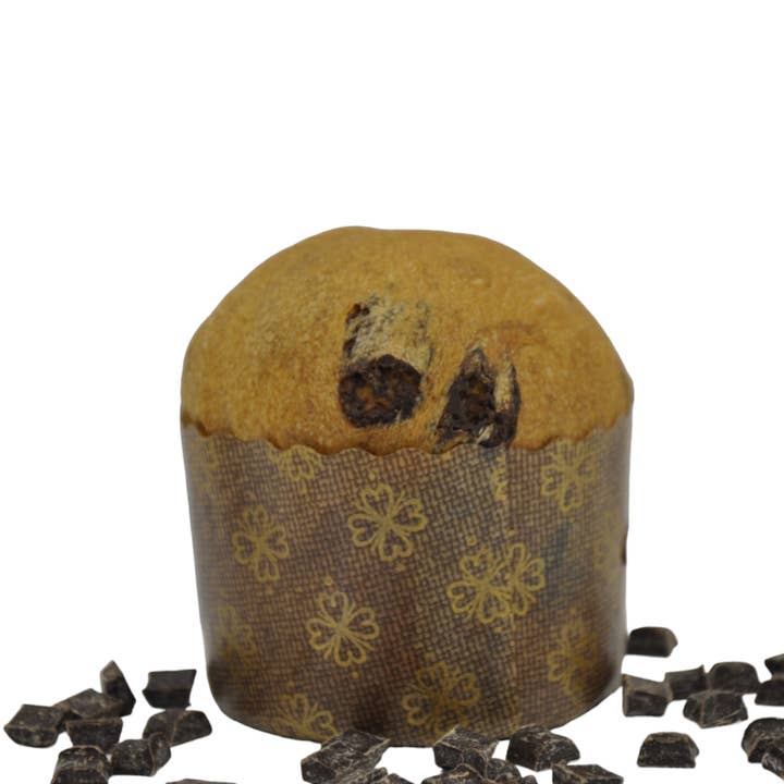 CHOCOLATE PANETTONE 500g for wholesale by FIKO