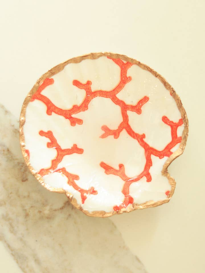 Large Scallop Shell in Coral Reef for wholesale by Eastwind Designs