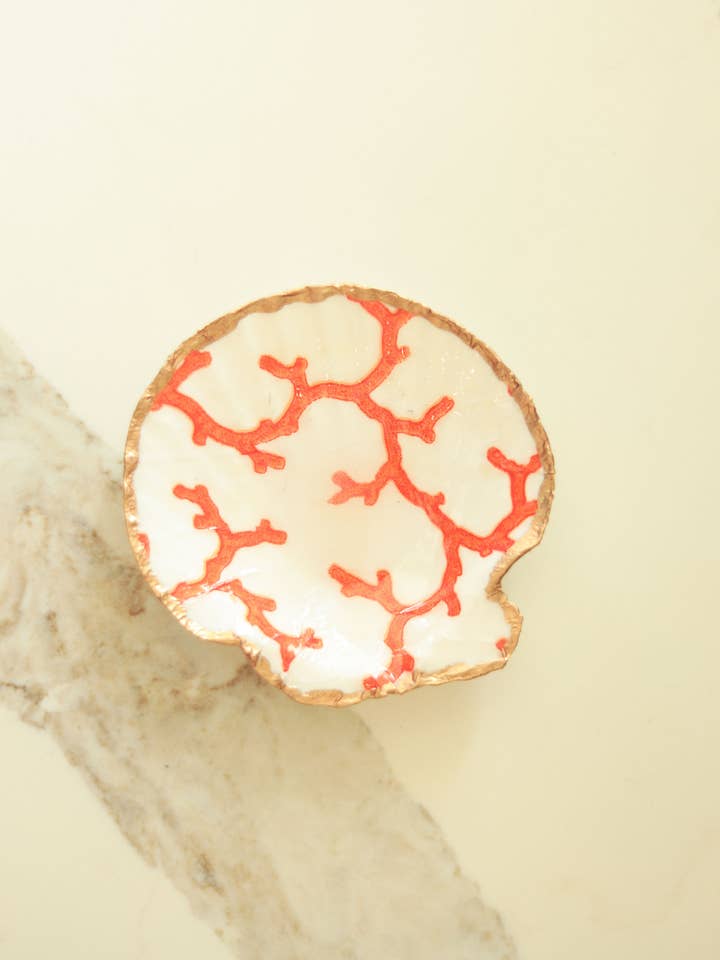 Large Scallop Shell in Coral Reef for wholesale by Eastwind Designs