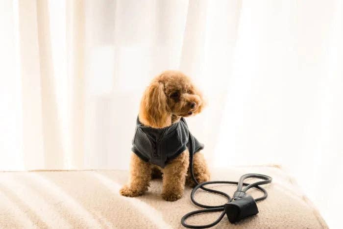 In Vogue Pets – wholesale Pet poo bag dispenser – FuzzYard Life Atelier Poop Bag Dispenser - Slate Grey4