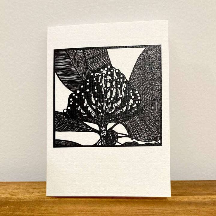 Biglietti di auguri sostenibili per la vendita all'ingrosso da parte di Subgreen Gallery