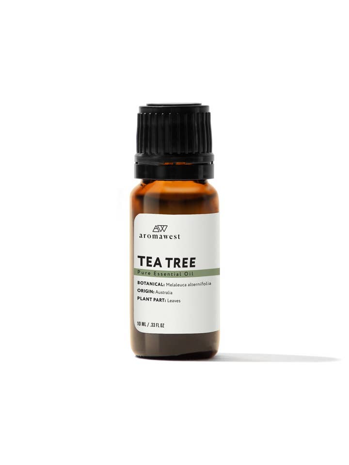 Tea Tree Essential Oil for wholesale by Aromawest
