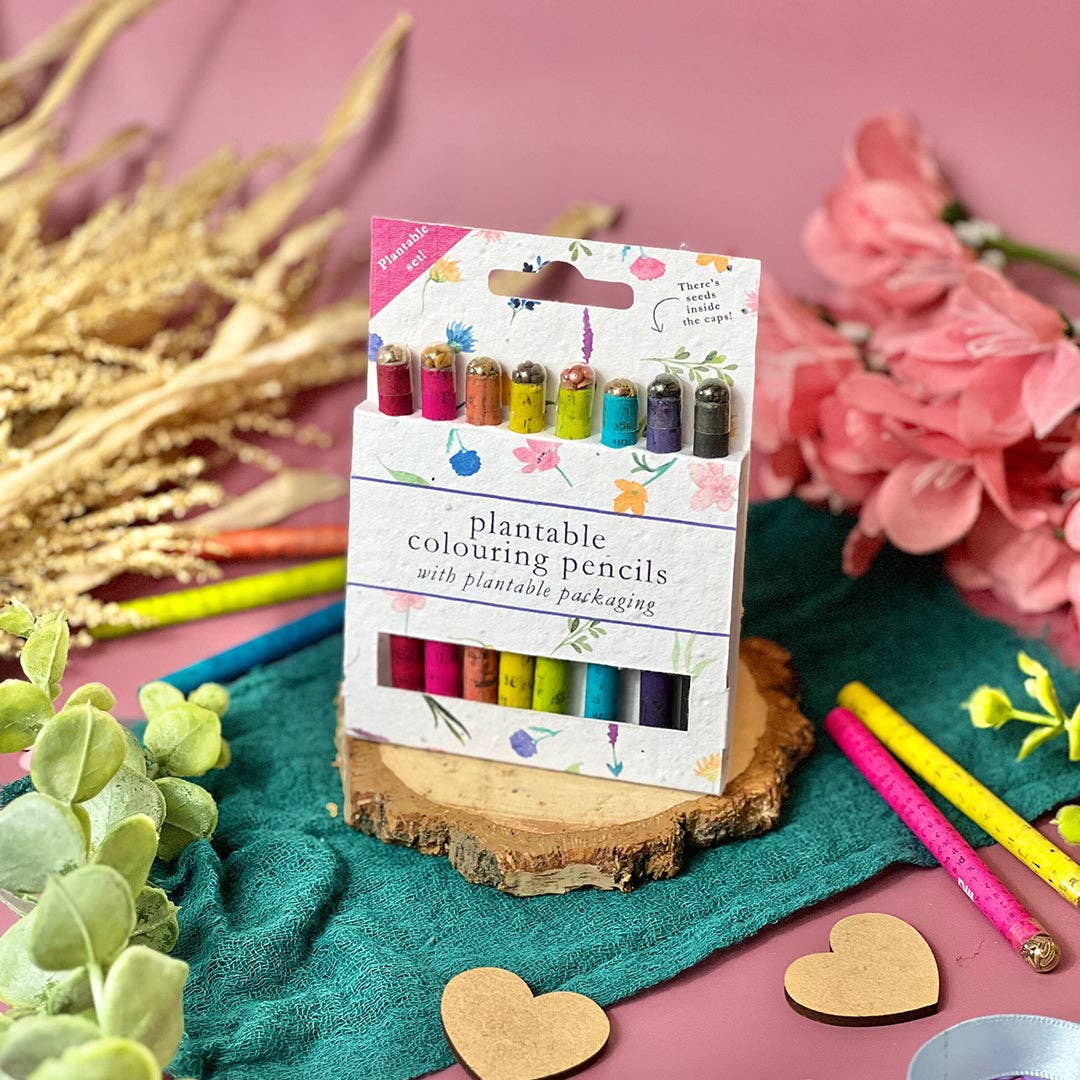 Little Green Gifts – wholesale Coloured pencil – Colouring Pencils - Choice Of Designs (TU-6)4