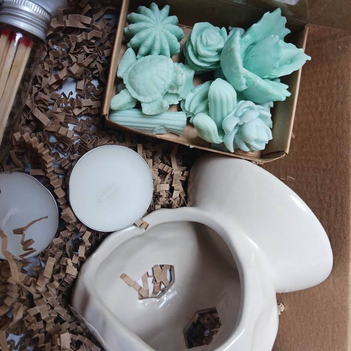 2,5 oz. Coffret cadeau « Succulents » à base de cire de soja pour la vente par Casa de Iris Crafts