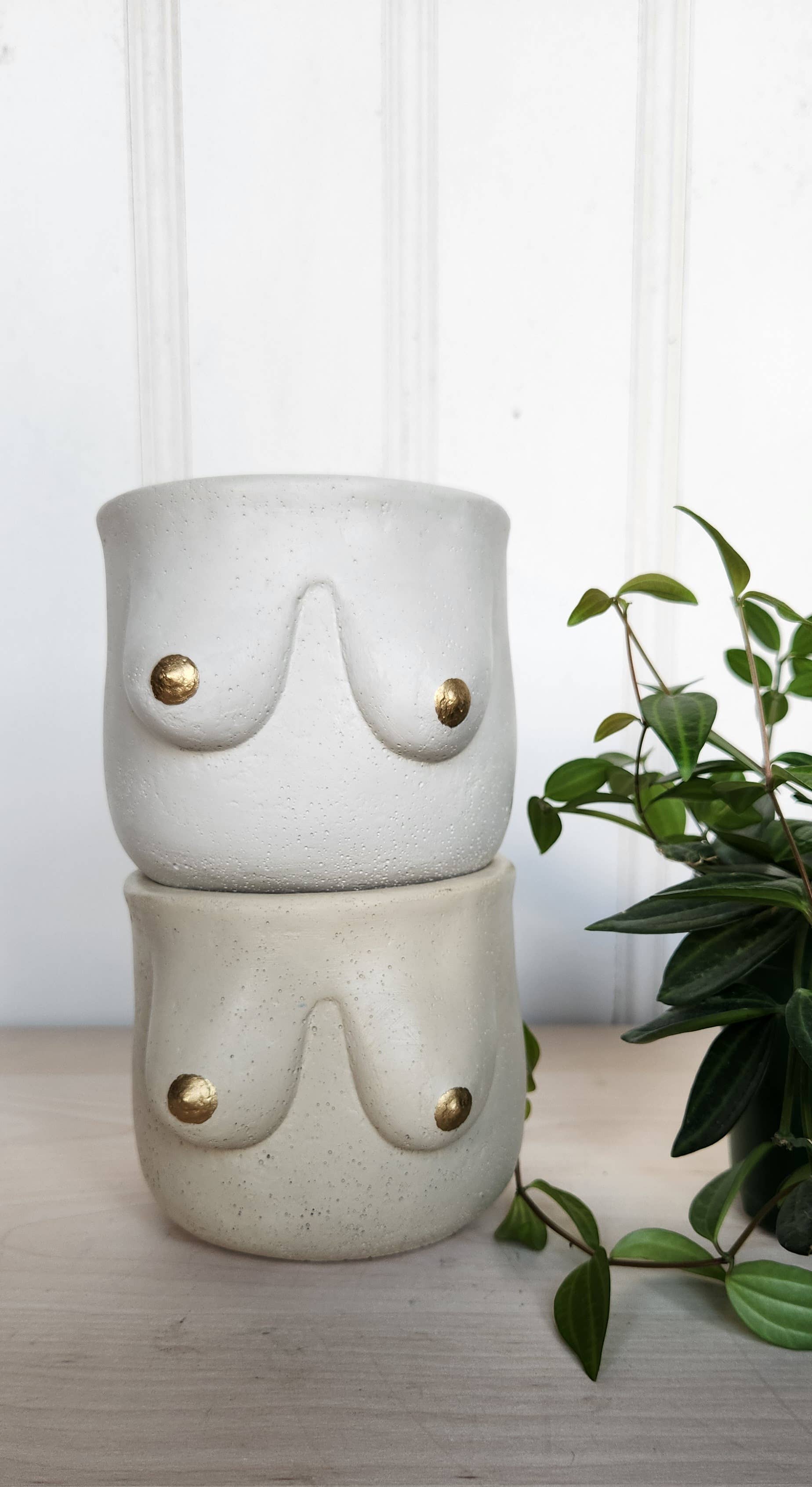 Plant 'er Here - Wholesale Plant Pot - Golden Boob Pot1