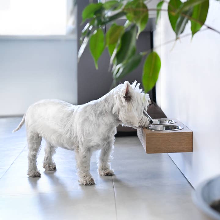 ValiaiDesign – Engroshandel Madskål på stativ til kæledyr – kat/hund – Små hunde og katte træ forhøjet stativ med skåle