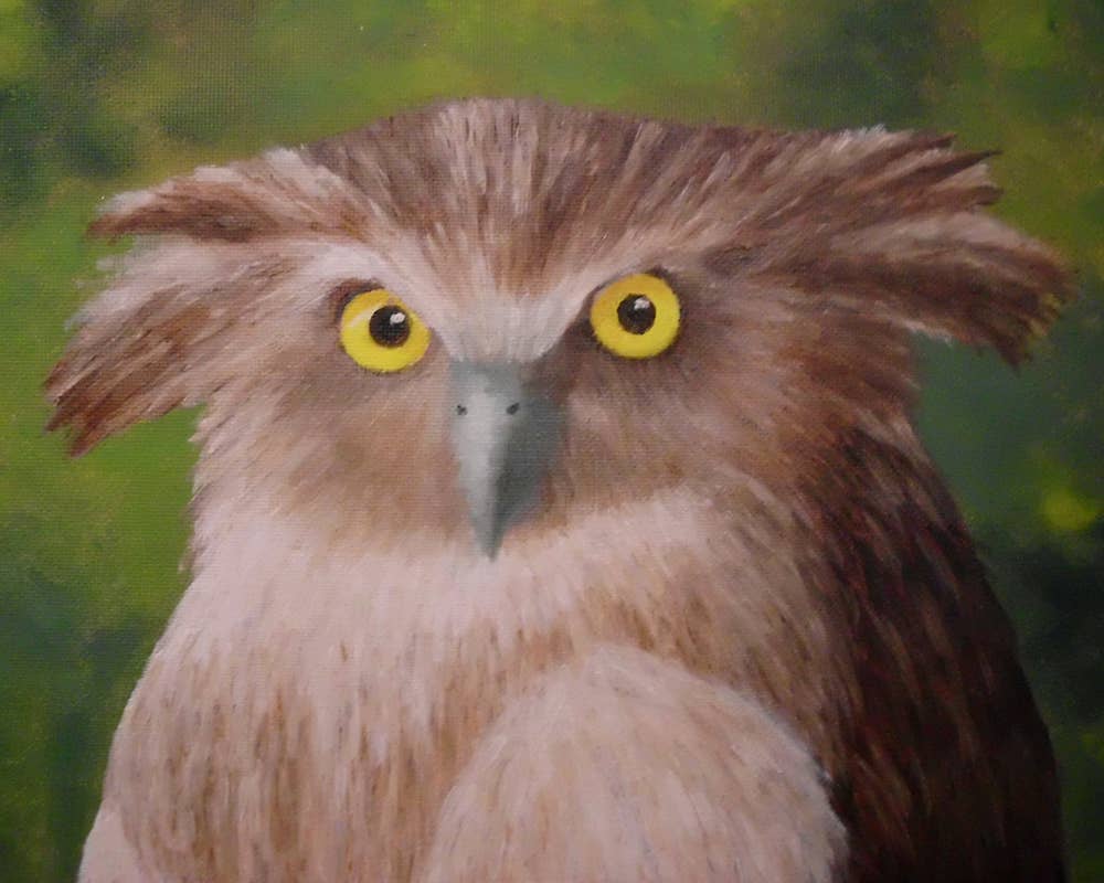 Mother Bear Studio - Wholesale Everyday Greeting Card - "Owlet" Individual Card0