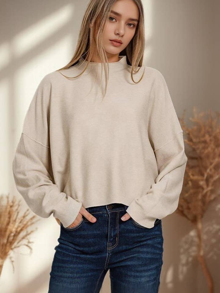 ..0119 Mock Neck Soft Fall Sweater SI-25985 for wholesale by 42POPS