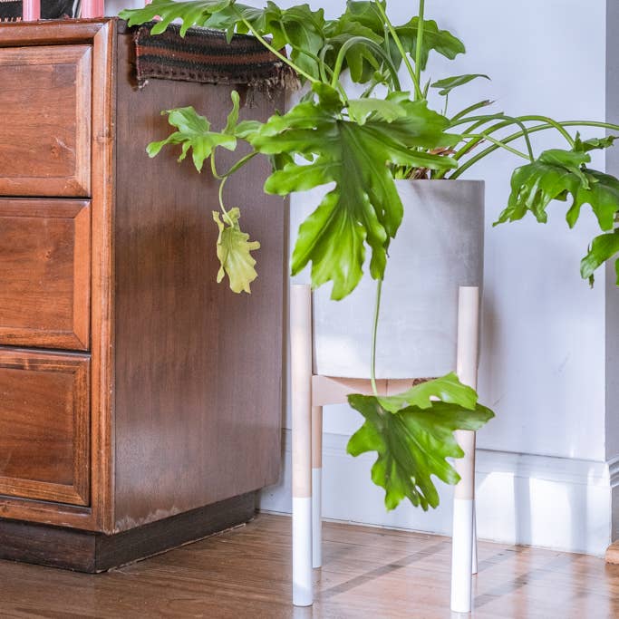 Moderno soporte para plantas 25,4 cm. para venta al por mayor de Hold on to Your Plants