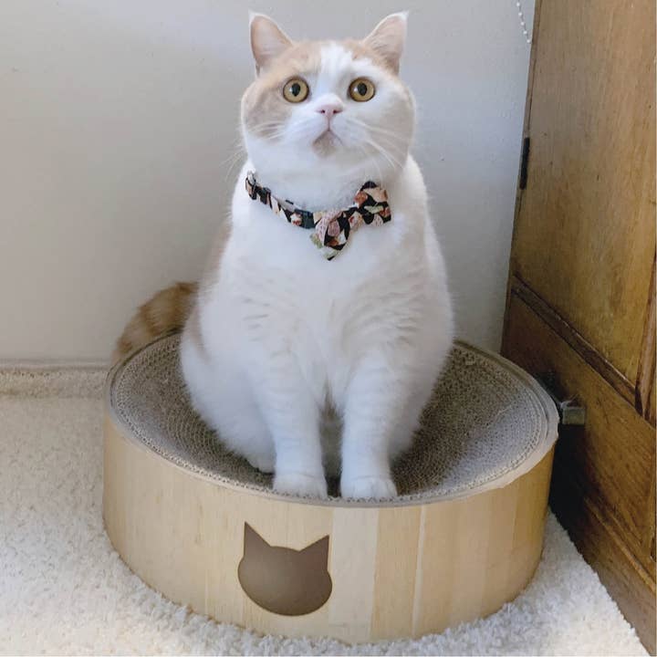 MOON-X USA, INC. - Wholesale Pet Collar - Cat - Chirimen Kimono Bow Tie Cat Collar (Black)