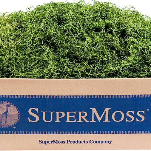 SuperMoss - Vendita all'ingrosso Fiori secchi/pressati - Scatola in muschio spagnolo conservato da 3 libbre