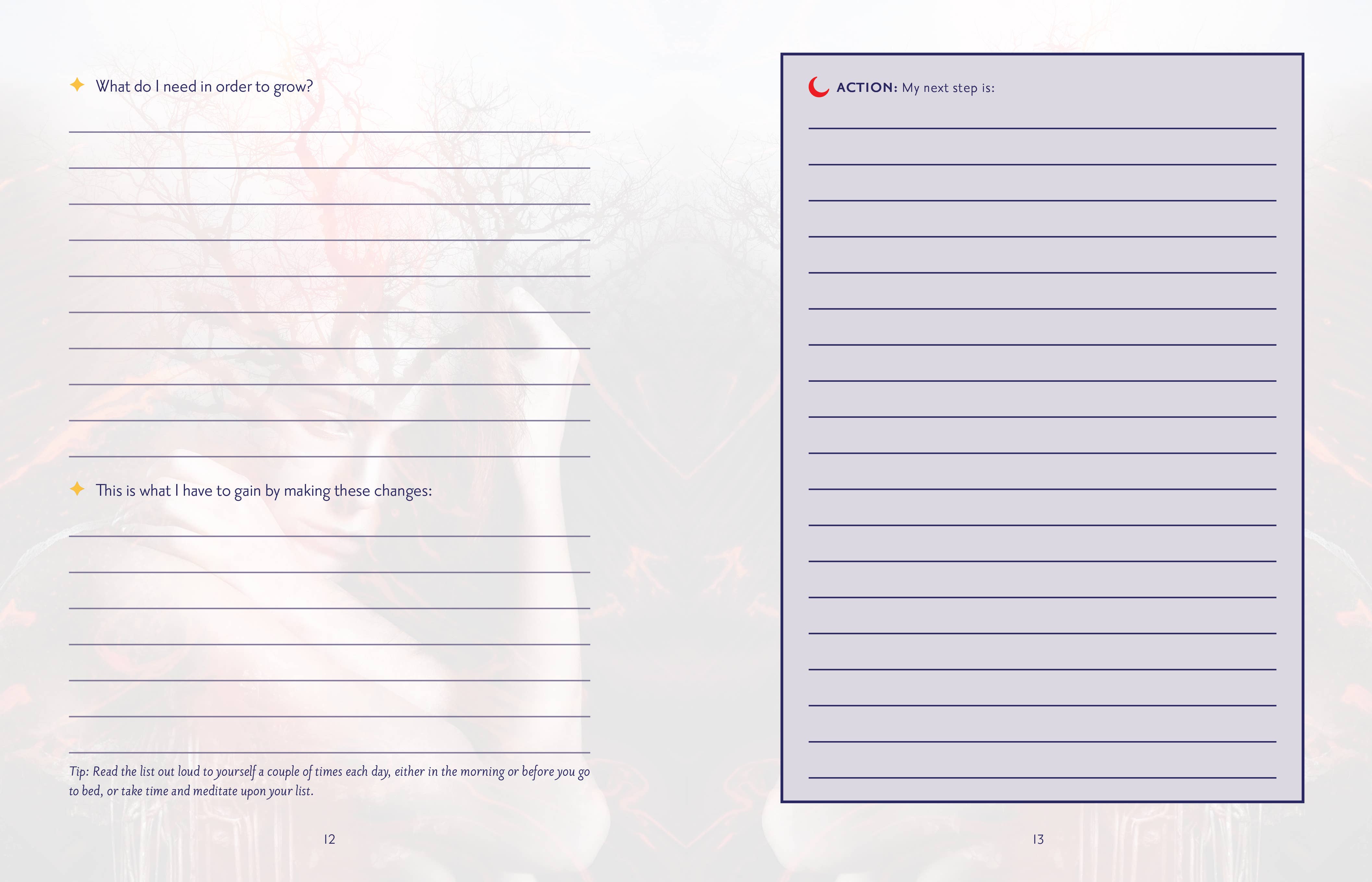 ROCKPOOL PUBLISHING - Wholesale Journal/Diary - Shadow and Light Journal3