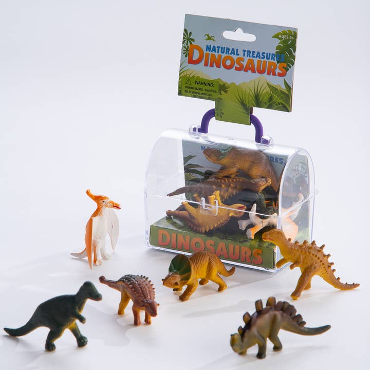 Natural Treasures Dinosaur Box for wholesale by GeoCentral