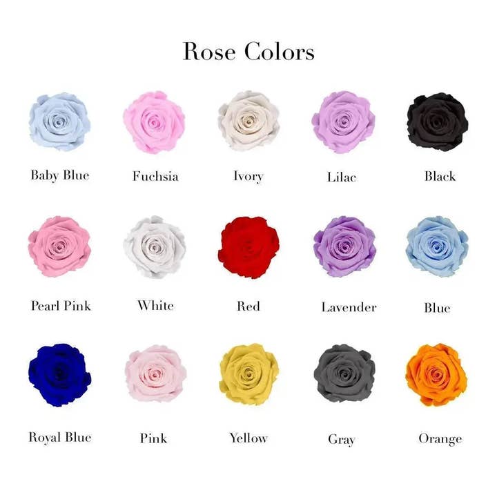 Rose Forever - Wholesale Dried/Pressed Flowers - 9 Red Roses Velvet Eternity Roses Box2