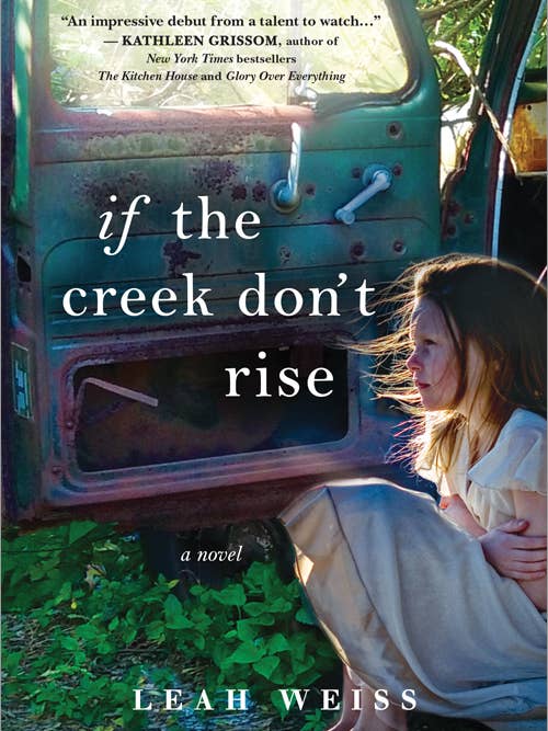 If the Creek Don't Rise for wholesale by Sourcebooks