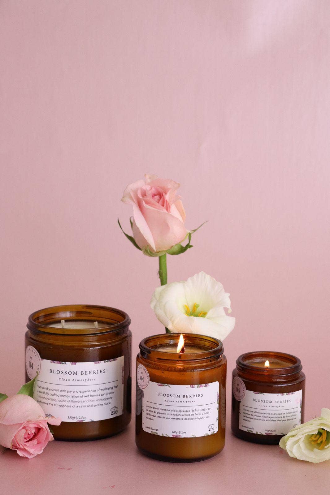 Central 220 - Wholesale Jar/Filled Candle - 04 | Joy | Blossom Berries  | Scented Candle6