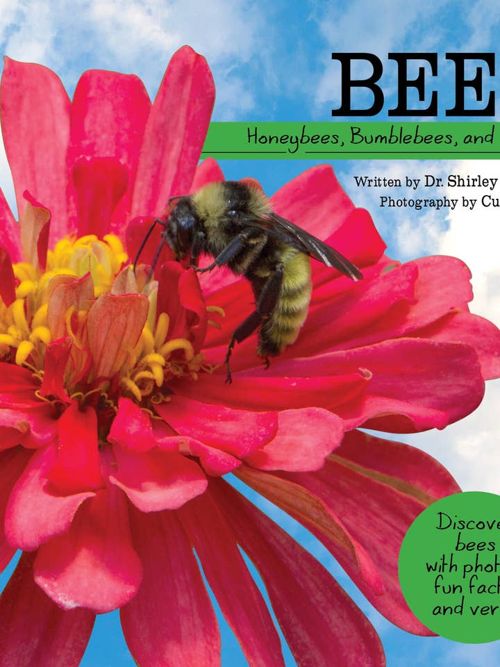 Bees: Honeybees, Bumblebees, and More! for wholesale by Flowerpot Press